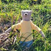 Verzweifelte Suche nach Teddybär Paul