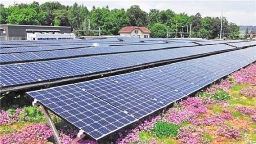 Photovoltaik spielt bei der nachhaltigen Stromversorgung eine weiter wachsende Rolle. Foto djd/Paul Bauder