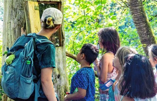 Schulen oder Familien nutzen das Salus-Biotop für Führungen und Exkursionen. Foto Salus