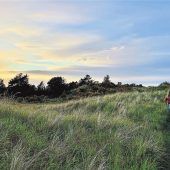 Glücksgefühle in Dänemark