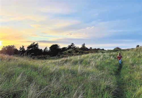 So viel Licht bis spät in die Nacht: Beim Abendspaziergang durch die Dünen wandert man jetzt durch blühende Heide.Fotos Julitta Ammerschläger, Aalborg/frame and Work, Nordjylland Tourismus, Diana Aud