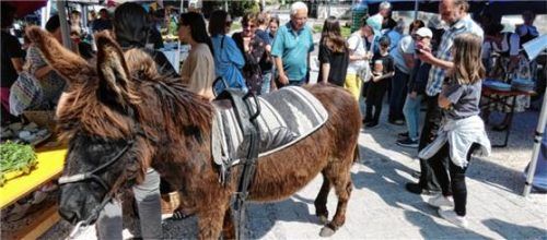 So wie hier beim Bauernmarkt zur Irisblüte 2023 rechnen die Gemeinde Grabenstätt und das Ökomodell Achental als Veranstalter auch bei der diesjährigen Ausgabe wieder mit vielen Fieranten und Besuchern. Foto  archiv Müller