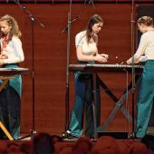Eggstätter Hackbrettquartett groovt