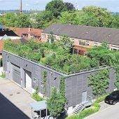 Außen grün, innen kühl