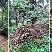 Tote Frau war dreifache Mutter