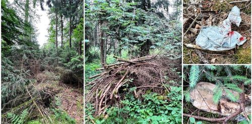 Wie Müll wurde die 35-jährige Eman im Unterholz im Thanner Wald entsorgt. Fotos Gerlach
