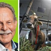 „Als habe man Angst, dass der Verwesungsgeruch an den Fingern kleben bleibt“