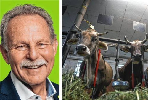 Wie vermeidet man Tier-Tragödien (Symbolbild) auf Bauernhöfen? Paul Knoblach, Landwirtschaftsexperte der Grünen im Landtag, will Antworten geben. Fotos re/dpa