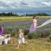 Foto-Termin im Lavendelfeld? 20 Euro bitte!