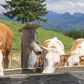 Hitze-Plan für die Berge