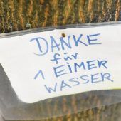 Das Elend der Straßenbäume