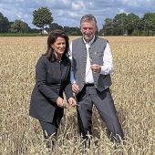 Getreide leidet unter der Trockenheit