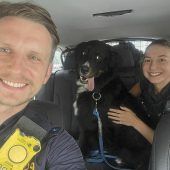 Polizei findet geklauten Balu