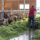 Bauern befürchten 20 Prozent Minus