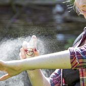 Wie Mücken uns erfolgreich orten