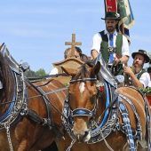 Der Dietramszeller Lehards