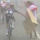 Alaphilippe, der Plakat-Dieb