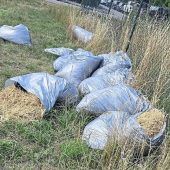 Daglfing: Müll-Ärger nach Aktionstagen