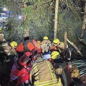 Baum stürzt auf Camperin in Hängematte