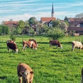 Schöne bayerische Heimat