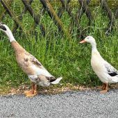 Auf Erkundungstour zu zweit