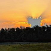Tierisches Wolkenspiel
