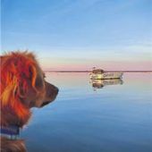 Wunschlos glücklich in Portugal