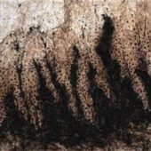 Andreas Legath stellt in Burghausen aus