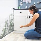 Feuchte Luft begünstigt die Entstehung gefährlicher Sporen