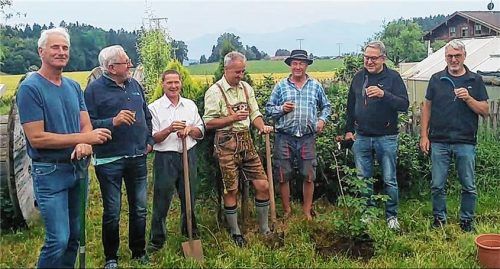 Der Baum steht: (von links) Otto Heitauer, Hans-Dieter Gerlinger, Andreas Jell, Anderl Igel (Baumstifter), Karl Stettner (Grundstifter), Hans Hainz (Dirigent) und „Obmann“ Sepp Obermeier freuen sich über die getane Arbeit. Foto  Wastl