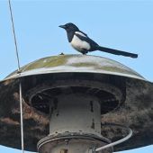 Neue Sirenen-Standorte beschlossen