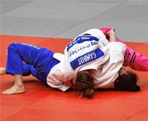 Die Bad Aiblinger Judo-Damen hätten sich beim Abschlussturnier in Landshut ein besseres Ergebnis gewünscht.Foto re