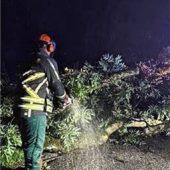 Feuerwehr beseitigt umgestürzten Baum