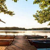 Die Natur vor der Haustür entdecken