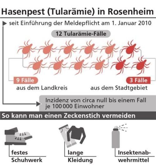 Die Zahl der registrierten Hasenpest-Fälle bei Menschen in Stadt und Landkreis Rosenheim seit 2010 und wie man sich vor Stichen schützen kann. Klinger