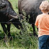 Neue Spazierwege begehen
