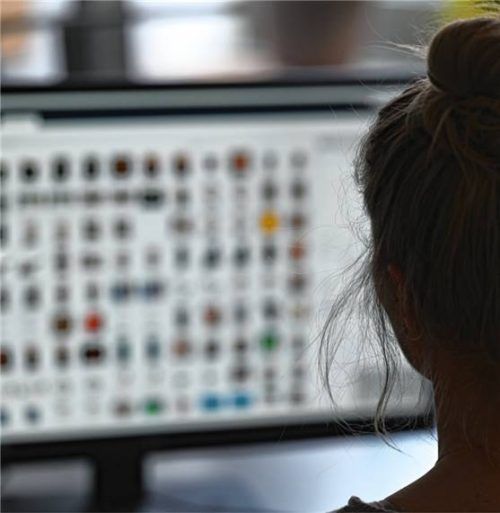 Eine Kriminaloberkommissarin bei der Auswertung von Kinderpornografie und Fällen von sexuellem Missbrauch. Im verhandelten Fall vor dem Landgericht Traunstein waren es schlicht zu viele Dateien, um alle zu bewerten. Foto dpa