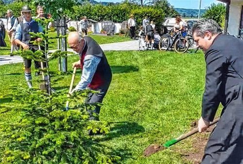 Einen Tannenbaum pflanzte Pfarrer Philipp Kielbassa mit Unterstützung von Franz Widhammer (rechts) auf dem Willinger Friedhof. Foto kern