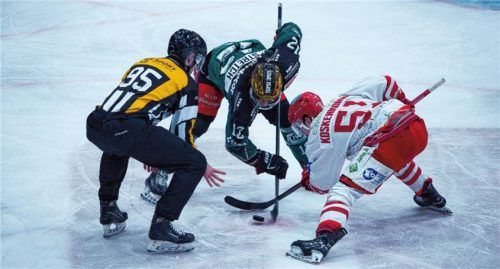 Hammer-Auftakt für die Starbulls: Gleich am ersten DEL2-Sonntag gastiert der Erzrivale EV Landshut in Rosenheim. Foto Christian Mühlhofer