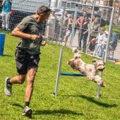 Sommerfest trotzt der Hitze