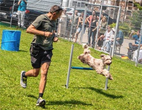Herrchen läuft und Hund muss springen. Fotos stache