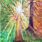 Claudia Simon präsentiert „Terra“