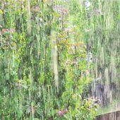 Milliardenkosten infolge des Klimawandels