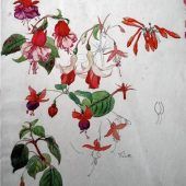 Ein Blumenmeer lädt zum Erleben ein