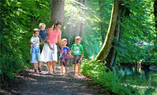 Spannende Natur und interessante Infos: Auf den MundArt-Wanderwegen gibt es viel zu entdecken.Fotos  Markt Prien am Chiemsee