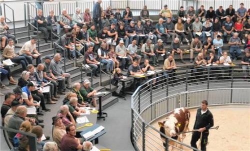 Studierende der Landwirtschaftsschule Traunstein informierten sich über die Jungkuhvermarktung und den Zuchtstierverkauf in der Chiemgauhalle. Foto  Rinderzuchtverband Traunstein