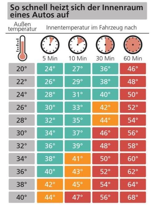 Tödliche Sommerhitze: So heiß wird es im Auto wirklich. Klinger