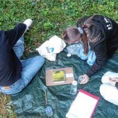 Schüler erforschen Wald, Moor und Klima im Landkreis Traunstein
