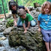 Bergwalderlebnis am Frillensee