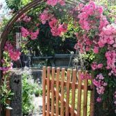 Offene Gartentüren locken Besucher